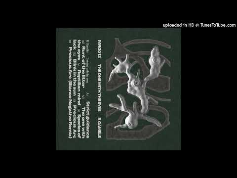 R Gamble — R Gamble -Precious Arc (Bianco Negativo Remix)