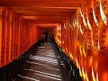 Fushimi Inari e i 1.000 portali rossi - Vivi Giappone
