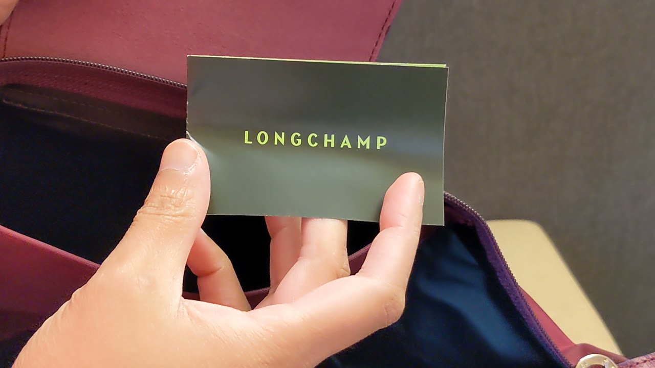 Longchamp LGP Le Pliage Clutch—Best Bang for your Buck — Collab with Agent  Bag Reviews 