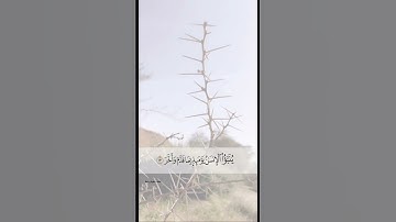 فَإِذا بَرِقَ البَصَرُ (٧) وَخَسَفَ القَمَرُ | سورة القيامة | ادريس ابكر