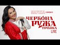 Марина і компанія Червона ружа Трояка Місто Львів Палац Довженка