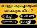      psc malayalam general  knowledge quizcompetitive exam