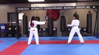 Taekwondo Skip In Hook Kick
