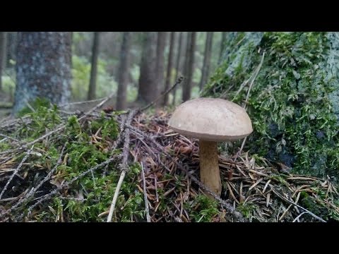 Самое лучшее место