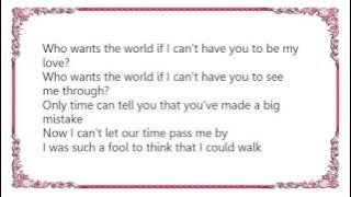 D-Side - Who Wants the World Lyrics