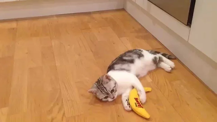 Emily reviews the Yeowww Catnip Banana