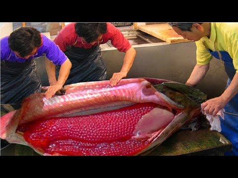 Video: Warum Fische Millionen Eier Legen