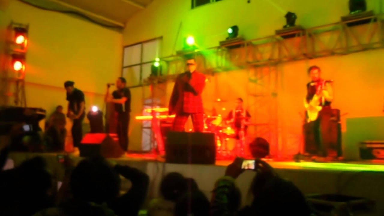El Noi Del Sucre Ave Fenix