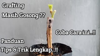 Complete Grafting Method: Beginners Can Become Masters