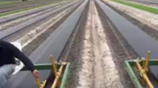 2 1 Row Hspm On Tool Bar For Melon Grower 2