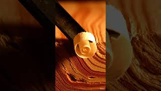 Deep Cedar Wood Shavings 🪵 (Real ASMR) #shorts #asmr #woodcarving #cedar #satisfying #realasmr