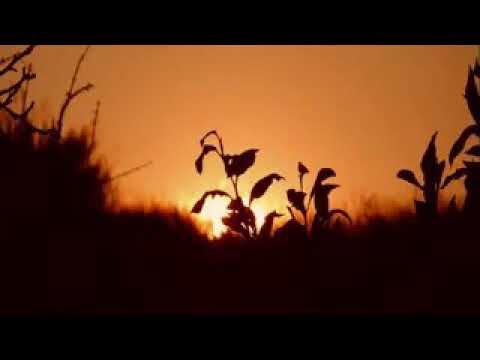 وتنهال كل همومي عليه