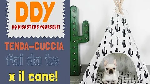 A cosa serve il kennel per i cani?