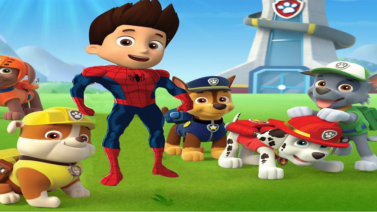 raiders paw patrol
