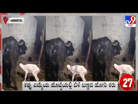 Super 30 At 11PM: Political, Regional, National, International, Sports Roundup News (21-10-2026)