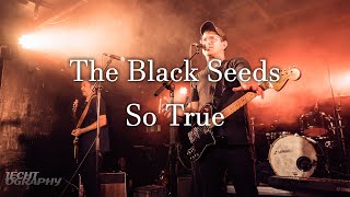 The Black Seeds - So True (Live 18/12/20)