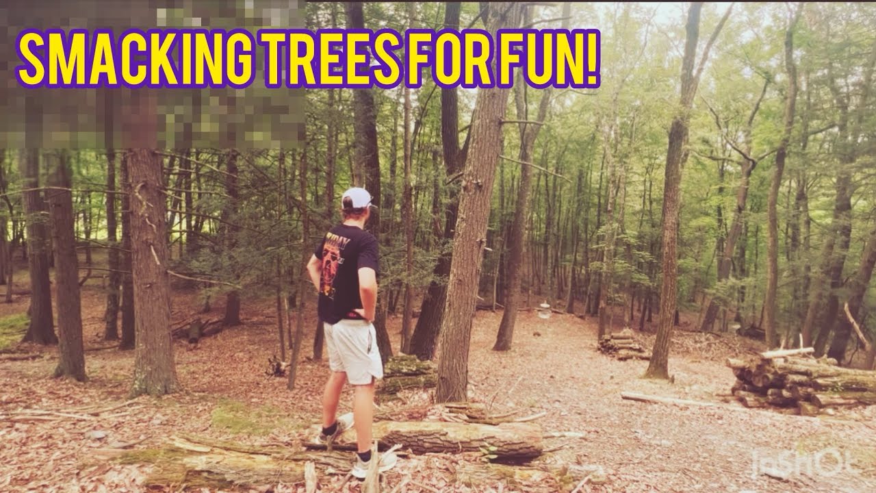 Smacking Trees as a Sport 😂😂 | Disc Golf at Pinebrook! - YouTube
