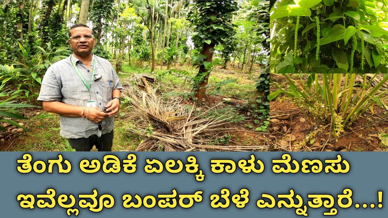 ಚಿನ್ನ ಬೆಳ್ಳಿ ವ್ಯಾಪಾರ ಮಾಡುತ್ತಿದ್ದವರು ಇವರು, ಇವರೇ ಕೃಷಿಯಲ್ಲಿ ಲಾಭವಿದೆ ಎಂದ ಮೇಲೆ ತಿಳಿದುಕೊಳ್ಳಿ...!