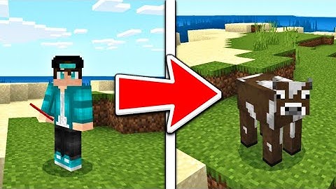 How To Morph Into ANY Mob In MCPE 1.17!