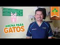 Tipos de arena para gatos.