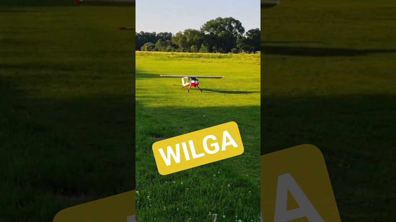 Wilga von Black Horse – 2,3 m Testflug mit 2x5S LiPo #modellflug
