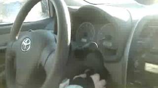 2008-12-13 MOV00316