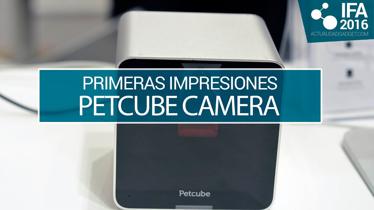 petcube camera