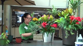 Container Gardening - Sheridan Nurseries