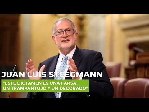 Steegmann, sobre la ‘reconstrucción’: “Este dictamen es una farsa, un trampantojo y un decorado”