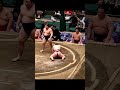 西ノ龍VS炎鵬!2026年大相撲5月場所