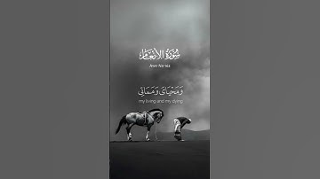 أجمل تلاوة للقرآن الكريم | سورة الأنعام | تلاوة خاشعة مؤثرة #tilawat #quran #subhanallah
