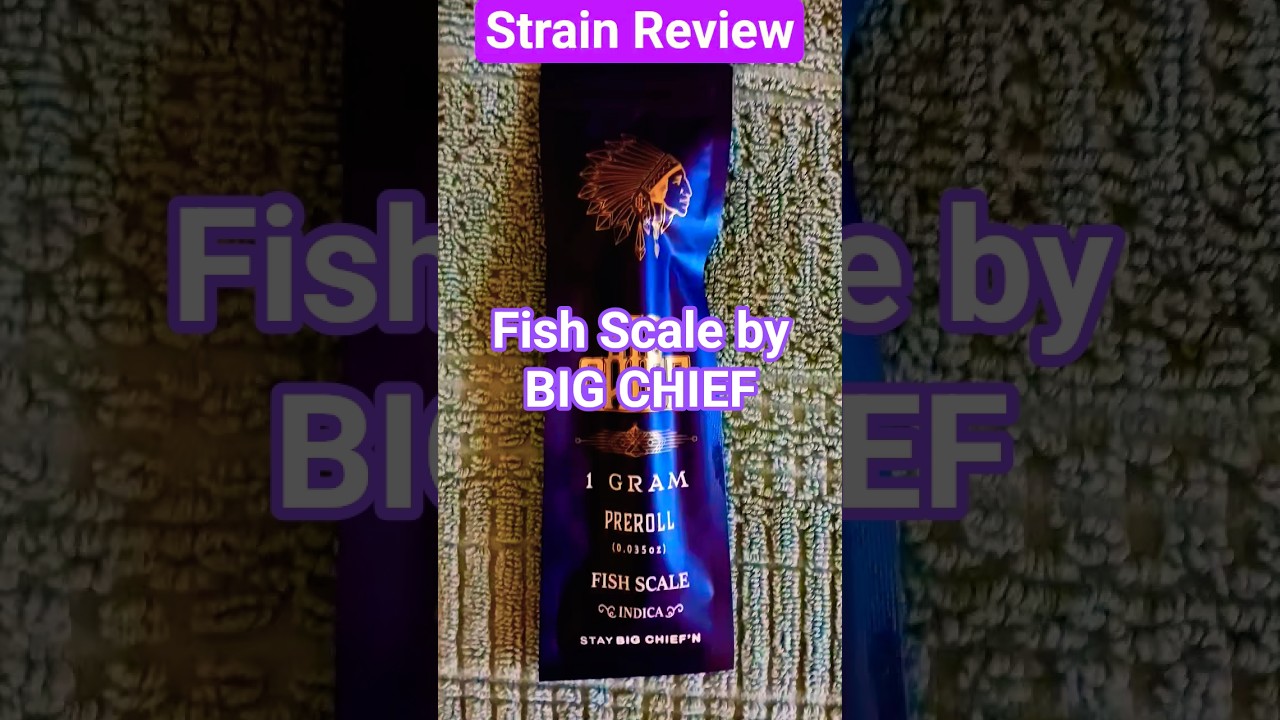 Strain Review: Fish Scale by BIG CHIEF 