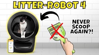 Litter-Robot 4 Review | Is This $699 Litter Box Worth It?