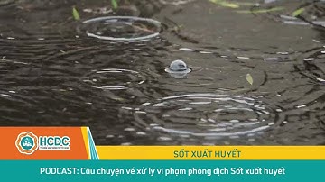 HCDC | Podcast: Câu chuyện về xử lý vi phạm phòng dịch sốt xuất huyết
