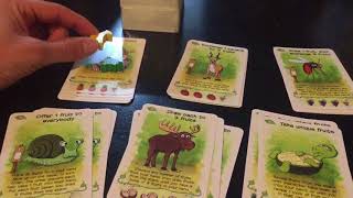 Fabled Fruit by Stronghold games- Rules explanation