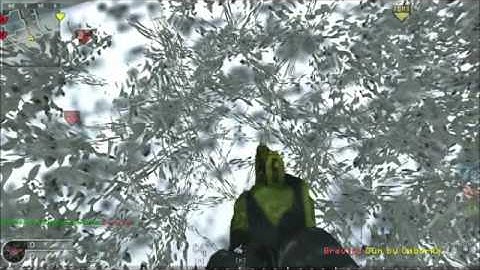 Fun Mods on CoD4