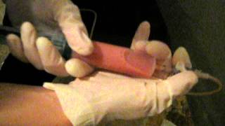 MVI_0327.AVI