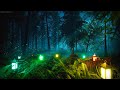 Capture de la vidéo Fall Asleep Fast In A Magical Forest | Instant Relief From Insomnia, Depression & Stress