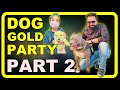 Gold Dog Party Petfed Part 2 | Brody an American Bully  | Family Videos | Harpreet SDC