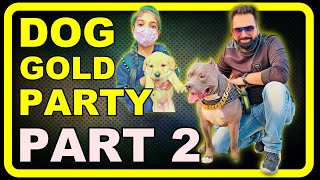 Gold Dog Party Petfed Part 2 | Brody an American Bully  | Family Videos | Harpreet SDC