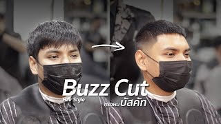 Buzz Cut บัสคัท | HRBB