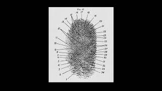 Introduction What Are Fingerprints?