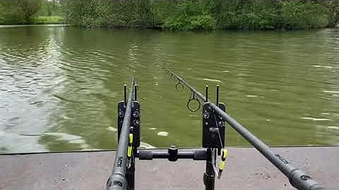 Screaming run on 9ft Nash Scope Rod a Delkim TXIs