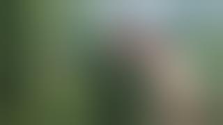 [ ARCHIVED ] Klip Rekaman TransTV HD • Jeda Iklan • 1 Juli 2025