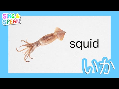 いか Squid 発音 Sing And Speak Youtube