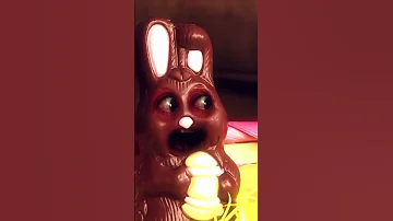 Bad Day Bunnies 