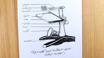 Drawing Different parts of a simple microscope |  Microscope Diagram drawing