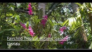 Fairchild Tropical Botanic Garden in Florida