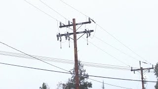 What to do with your perishable food during a power outage