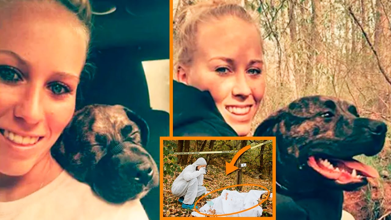 Deadliest Dog Attacks! YouTube